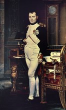 David, The Emperor Napoleon in His Study at the Tuileries