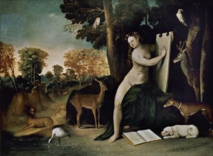 DOSSO DOSSI
CIRCE CON SUS AMANTES EN UN PAISAJE               (*1512/+1542)
WASHINGTON D.F.,