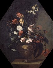 FLORES
VALDEMOSA, COLECCION ANTONIA MARCH
MALLORCA

This image is not downloadable. Contact us