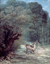Courbet, The Hunted Roe-Deer on the Alert