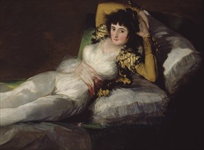 Goya, Dressed Maja (detail right part)