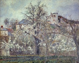 Pissarro, Printemps, Pruniers en fleurs