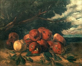 Courbet, Still life with apples