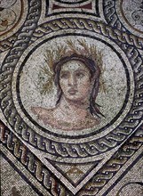 Detail of the mosaic representing Pan