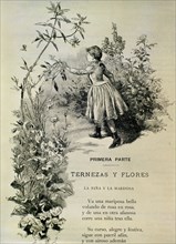 CAMPOAMOR RAMON DE 1817/1901
OBRAS COMPLETAS TERNEZAS Y FLORES 1888
MADRID, BIBLIOTECA
