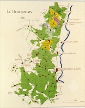 ASENSIO VILLA E
LIBRO DEL VINO VINOS DE LA REGION DE BEAUJOLAIS