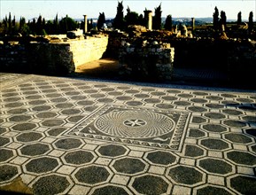 MOSAICO
AMPURIAS, EXTERIOR
GERONA

This image is not downloadable. Contact us for the high res.