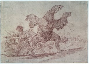 Goya, Carnivorous vulture