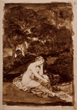 Goya, Naked woman sitting