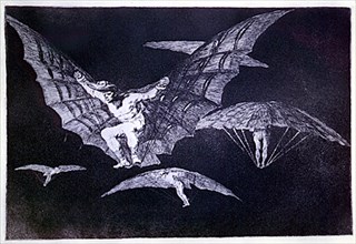 Goya, Drawing - Way of flying