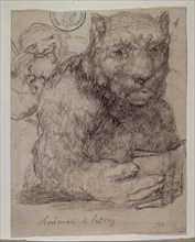 Goya, Animal de lettres