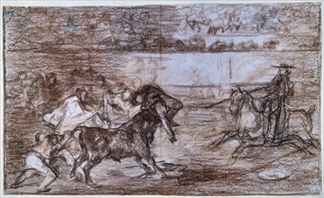 Goya, Tauromachie 8
