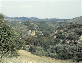 View on the valley of Sierra Morena in Spain