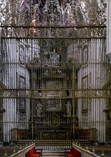REJA DEL ALTAR MAYOR
CUENCA, CATEDRAL
CUENCA

This image is not downloadable. Contact us for