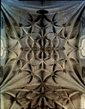 BOVEDAS
CIUDAD RODRIGO, CATEDRAL
SALAMANCA