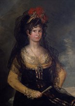 Goya, Countess of Fernán Núñez, detail of the Countess
