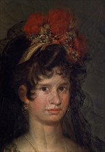 Goya, Countess of Fernán Núñez, detail of the face