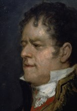 Goya, Duke of San Carlos detail