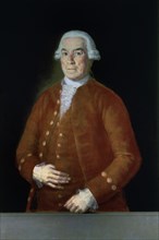 Goya, Portrait of Jose Toro Zambrano