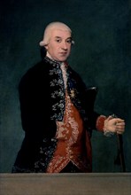 Goya, Portrait de Javier de Larrumbe