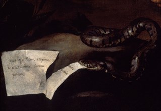 RIBERA JOSE DE 1591/1652
SILENO BORRACHO-DET SERPIENTE MORDIENDO TROZO DE PAPEL
NAPOLES, MUSEO