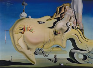 Dalí, The Great Masturbater