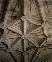 CUPULA NERVADA
RIBAS SIL, MONASTERIO DE SAN ESTEBAN
ORENSE

This image is not downloadable.