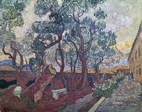 Van Gogh, Le jardin de l'hôpital Saint-Paul
