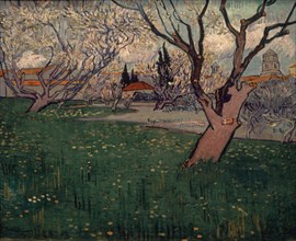 Van Gogh, Blossoming orchard in Arles
