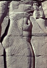 RELIEVES EN UN MURO
ASUAN, TEMPLO DE FILE
EGIPTO