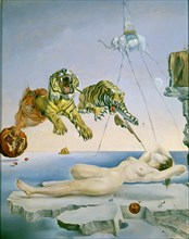 Dali, Dream Caused by the Flight of a Bee around a Pomegranate. One Second before Awakening