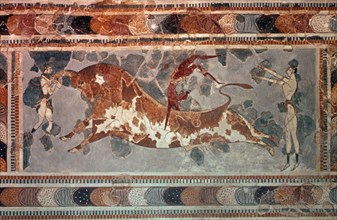 FRESCO - SALTO DEL TORO - II MILENIO AC
HERAKLION, MUSEO ARQUEOLOGICO
GRECIA