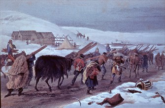 GRAB-GUERRA CRIMEA-MATERIAL Y BARACAS EJERCITO INGLES-1855

This image is not downloadable.