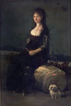 Goya, Portrait de Joaquina Candado