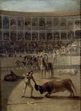 Goya, La Mise à Mort