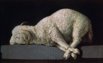 Zurbaran, Agnus Dei / The Lamb of God
