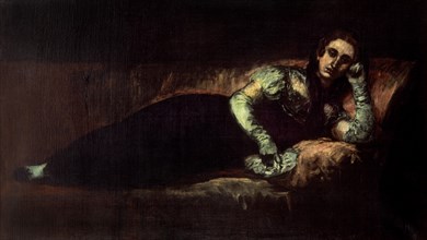 Goya, La Comtesse de Baena