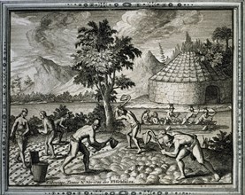 BRY THEODORE 1528-1598
GRANDES VIAJES.1590. INDIOS DEL PERU-USOS Y COSTUMBRES-CAMPESINOS SEMBRANDO