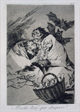 Goya, Capricho no. 45: There Is Plenty to Suck