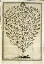 Family tree of the dukes of Bavaria