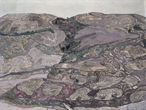 REDONDELA AGUSTIN 1922/-
PINTURA 1972
MADRID, COLECCION PARTICULAR
MADRID

This image is not