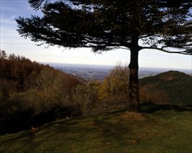 PINO-VISTA DE FRANCIA DESDE EL VALLE DE BAZTAN
BAZTAN VALLE, EXTERIOR
NAVARRA