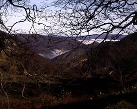 PUERTO DE LA VELETA-RAMA DE ARBOL Y VALLE
NAVARRA, EXTERIOR
NAVARRA