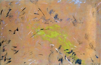 CARDENAS MARTA 1944-
PINTURA-1987 ZARZAS, PRADO Y BOSQUE 75*116 CM OLEO/LIENZO
MADRID, COLECCION
