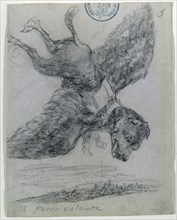 Goya, Le chien volant