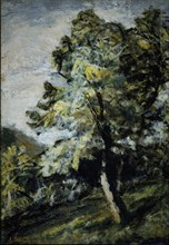 RIANCHO AGUSTIN 1841-1929
ARBOLES
MADRID, CASON RETIRO
MADRID

This image is not downloadable.