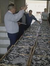 SUBASTA DE PESCADO (BOQUERON O ANCHOA)
PALAMOS, LONJA
GERONA

This image is not downloadable.