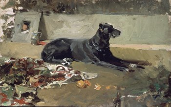 Sorolla, Lying Dog