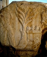 Palmyre, Relief représentant un palmier