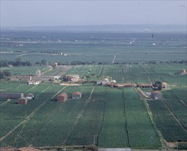 PANORAMICA DE LA VERA DEL TIETAR-PLANTACIONES DE TABACO
PROVINCIA, CUENCA DEL TIETAR
CACERES